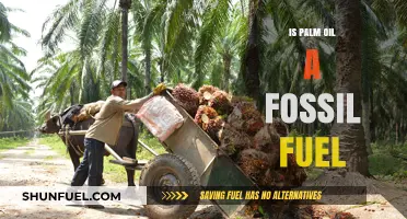 Palm Oil vs. Fossil Fuels: Unraveling the Environmental Impact Debate