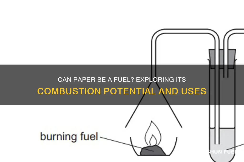 is paper a fuel