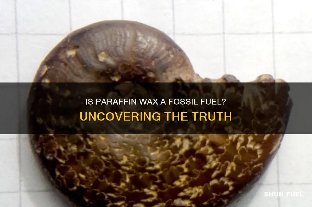 is paraffin wax a fossil fuel