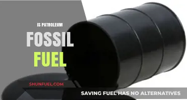 Is Petroleum a Fossil Fuel? Understanding Its Origin and Impact
