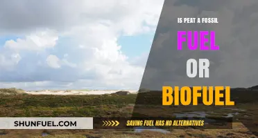 Peat: Fossil Fuel or Biofuel? Unraveling the Energy Source Debate