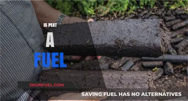 Is Peat a Viable Fuel Source? Exploring Its Uses and Impact