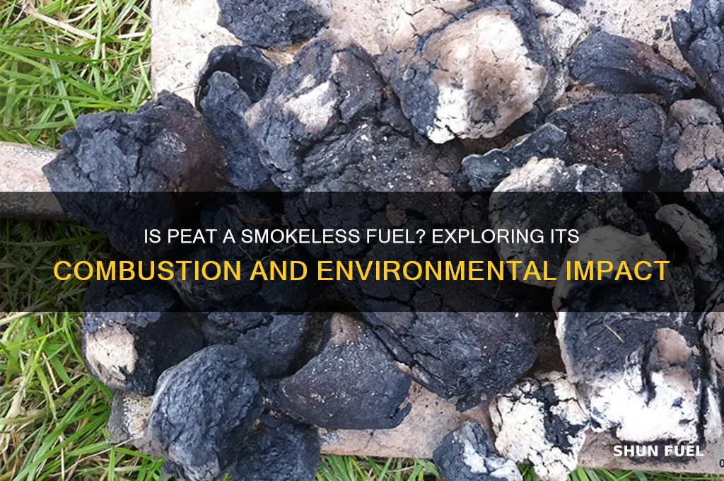 is peat a smokeless fuel