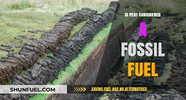 Is Peat a Fossil Fuel? Exploring Its Classification and Energy Role