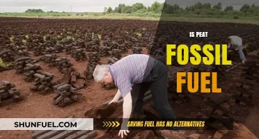 Peat: A Fossil Fuel With Environmental Impact
