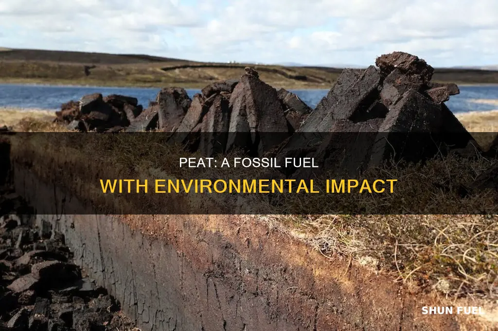 is peat fossil fuel