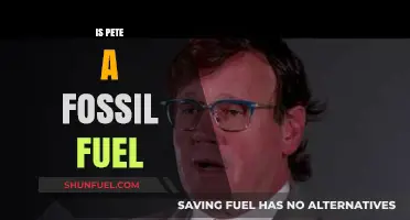 Is Pete a Fossil Fuel? Unraveling the Energy Source Mystery