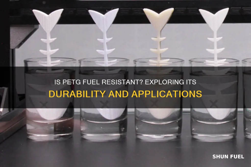 is petg fuel resistant