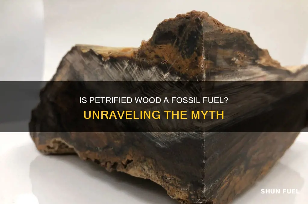 is petrified wood a fossil fuel