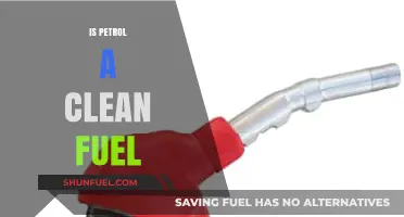 Is Petrol a Clean Fuel? Debunking Myths and Exploring Alternatives