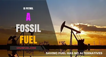 The Truth About Petrol: Fossil Fuel or Not?