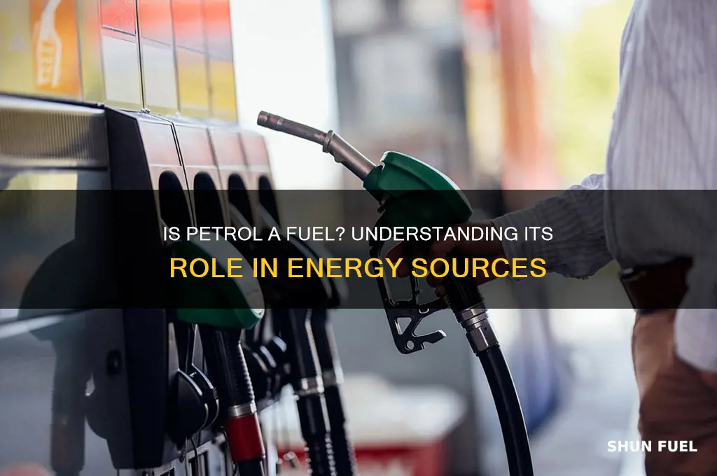 is petrol a fuel