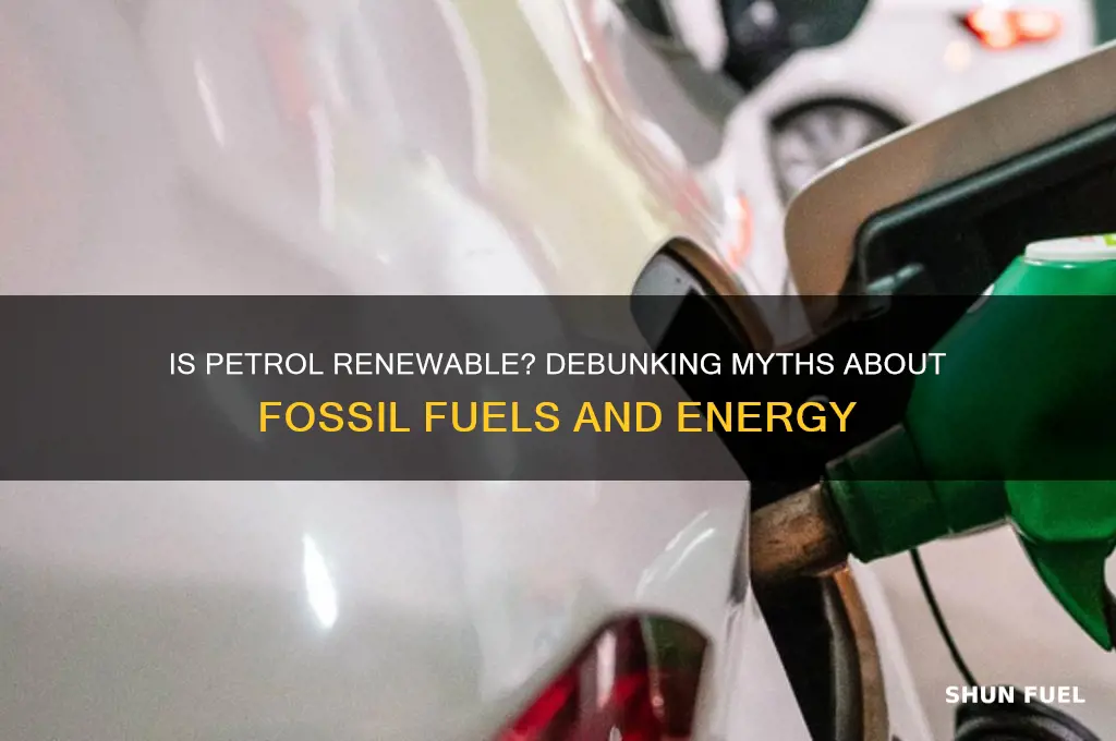 is petrol a renewable fuel