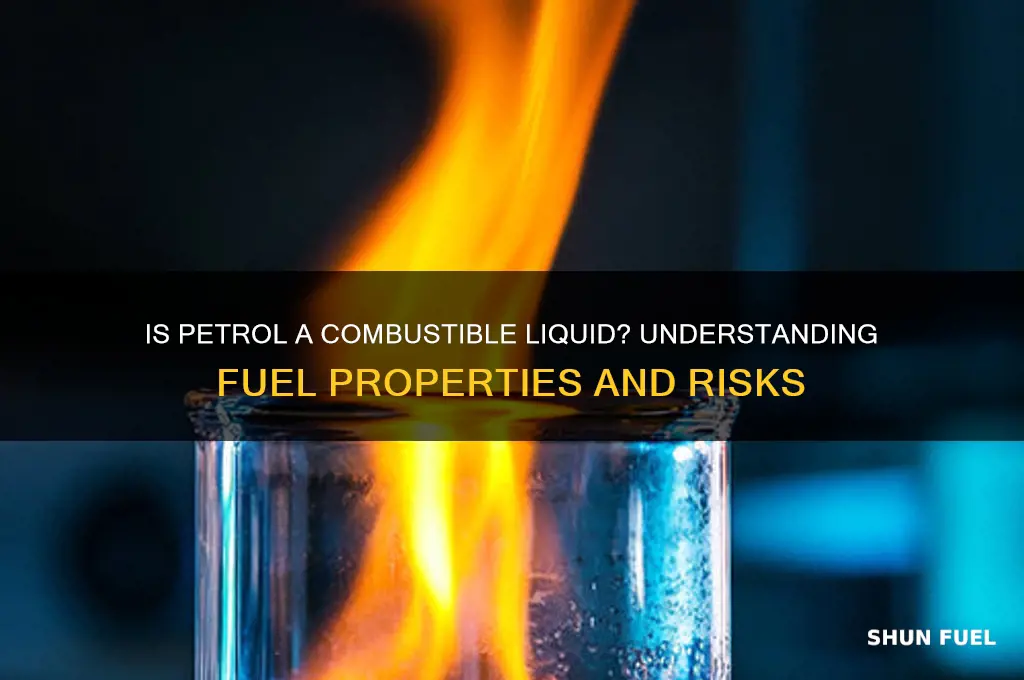 is petrol fuel combustible liquids