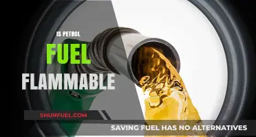 Is Petrol Fuel Flammable? Understanding Its Combustibility and Risks
