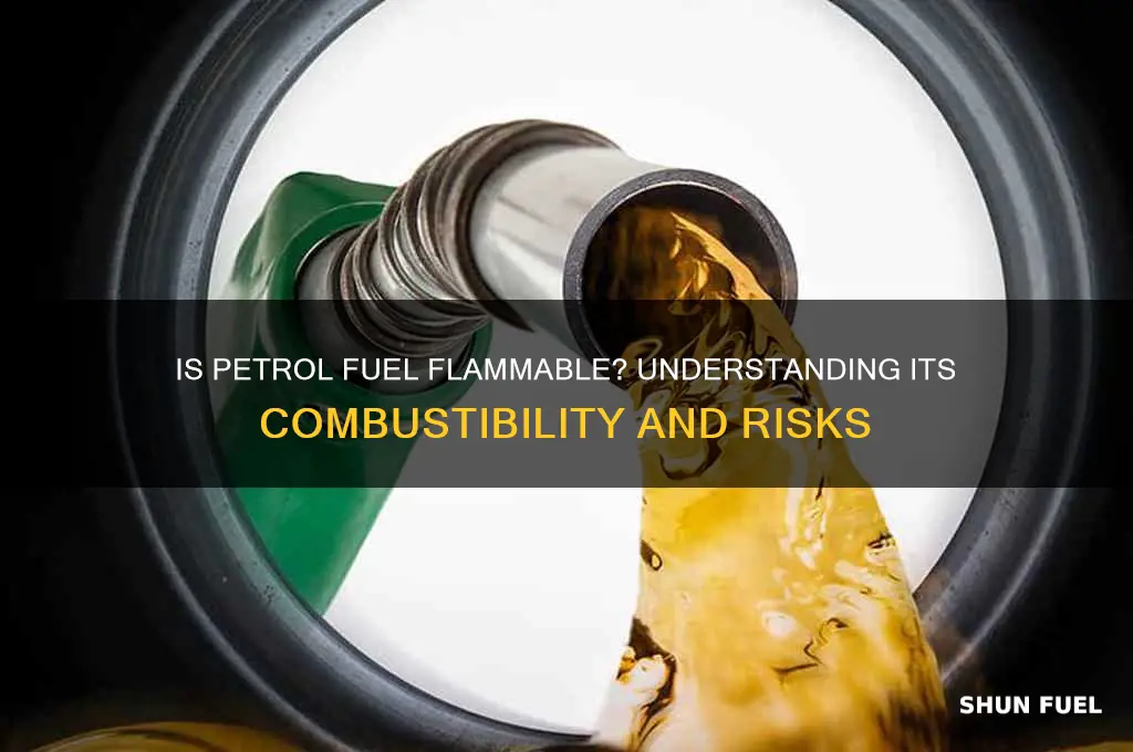 is petrol fuel flammable