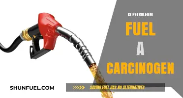 Petroleum Fuel and Cancer: Uncovering the Carcinogenic Risks