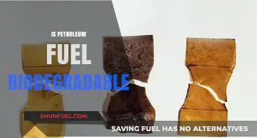 Is Petroleum Fuel Biodegradable? Exploring Environmental Impact and Alternatives