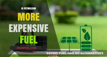 Petroleum vs. Alternatives: Is It the Costliest Fuel Option?