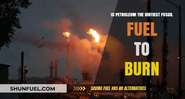 Petroleum's Environmental Impact: The Dirtiest Fossil Fuel to Burn?
