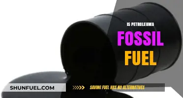 Is Petroleum a Fossil Fuel? Understanding Its Origin and Impact