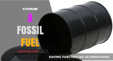 Is Petroleum a Fossil Fuel? Understanding Its Origin and Impact