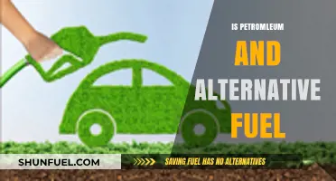 Exploring Petroleum's Role in the Alternative Fuel Landscape