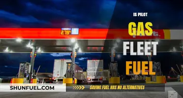 Exploring Pilot Gas Fleet Fuel: Efficiency, Sustainability, and Industry Impact