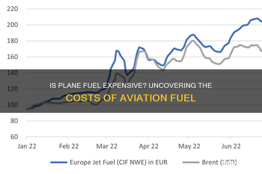 is plane fuel expensive