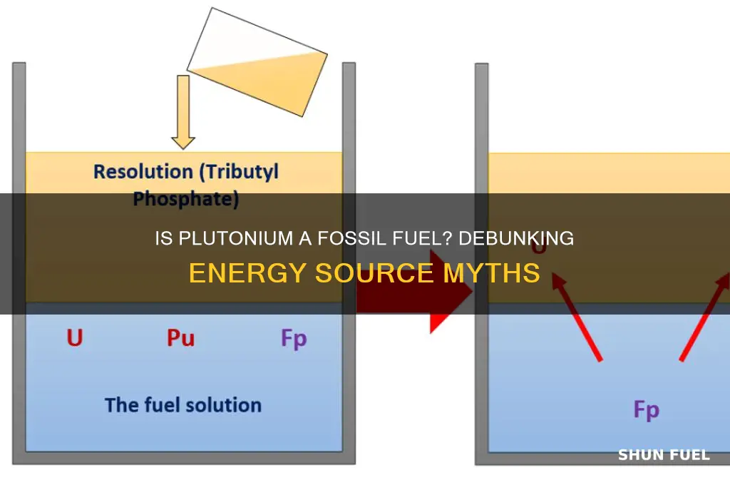 is plutonium a fossil fuel