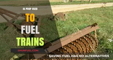 Can Poop Power Trains? Exploring Biofuel Innovations in Rail Transport