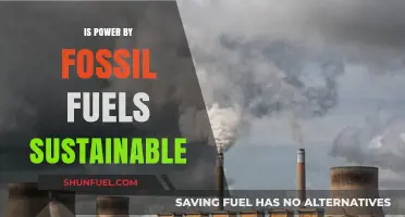 Fossil Fuels: Sustainable Energy Source or Environmental Time Bomb?