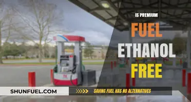 Premium Fuel: Is Ethanol-Free Gasoline Worth the Extra Cost?