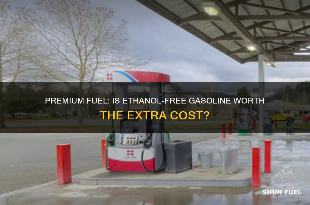 is premium fuel ethanol free