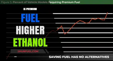 Premium Fuel and Ethanol: Unraveling the Higher Blend Myth