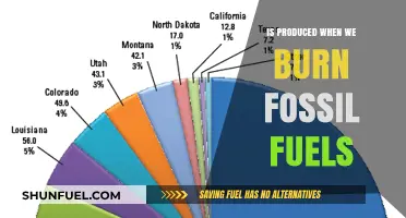 Burning Fossil Fuels: Unveiling the Emissions and Environmental Impact