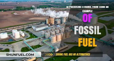 Is Corn Ethanol a Fossil Fuel Alternative or Illusion?
