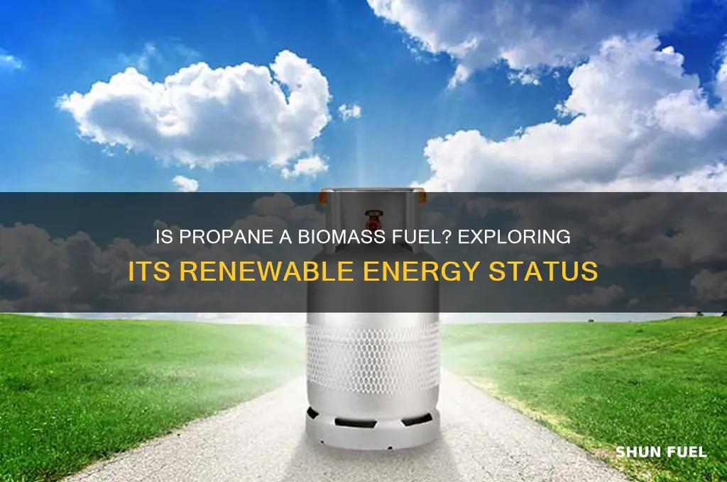 is propane a biomass fuel