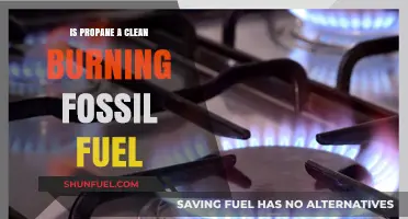 Is Propane a Clean-Burning Fossil Fuel? Exploring Its Environmental Impact