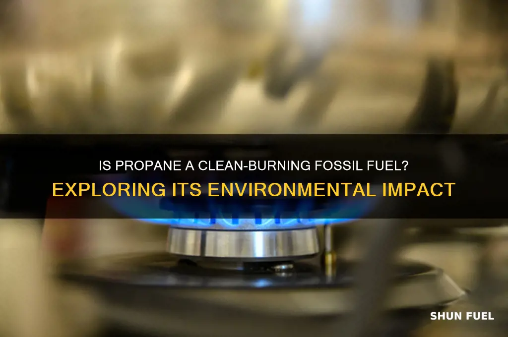 is propane a clean burning fossil fuel