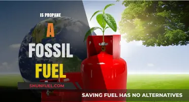 Propane: Fossil Fuel or Not?