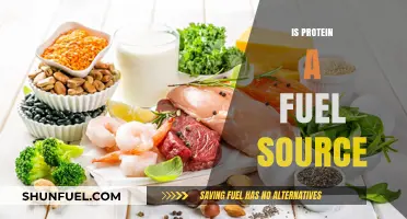 Is Protein a Fuel Source? Unlocking Energy Potential in Your Diet