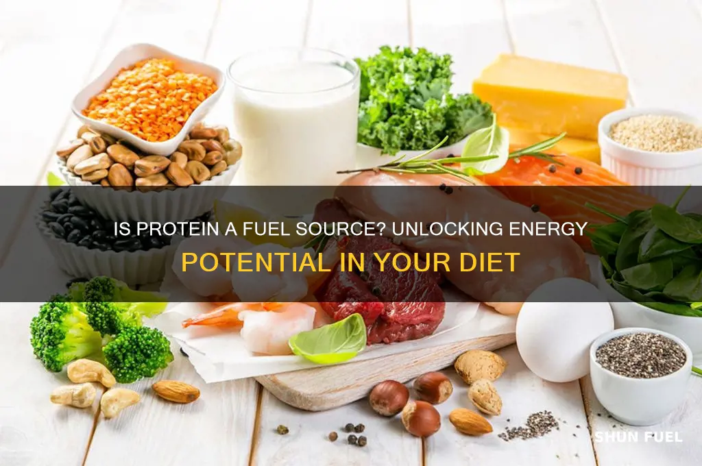is protein a fuel source