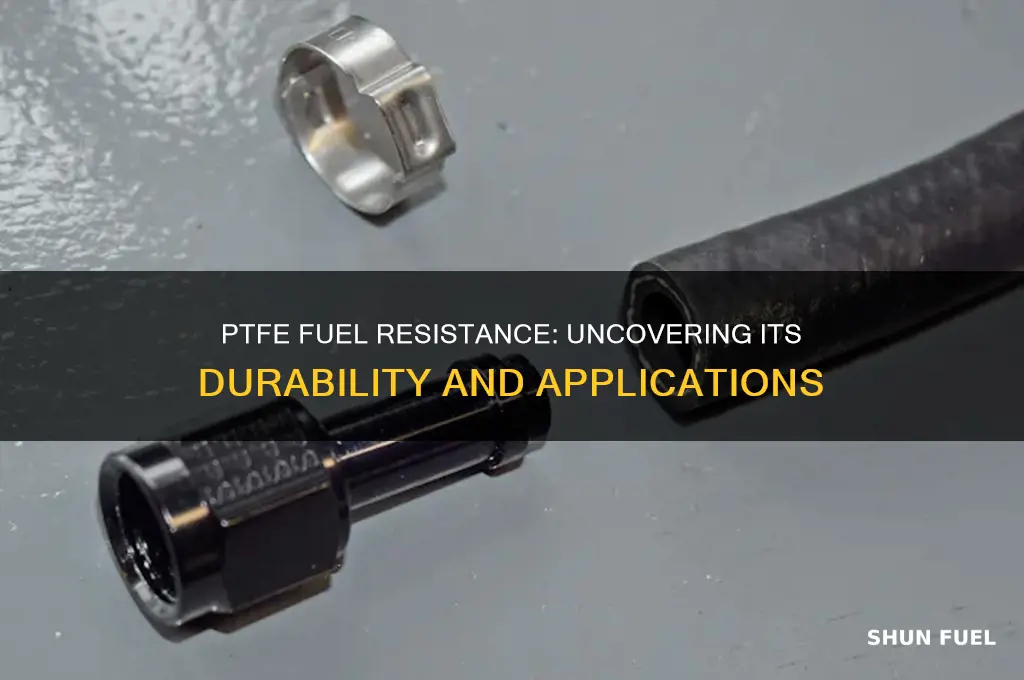 is ptfe fuel resistant