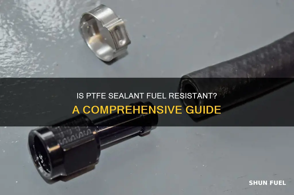 is ptfe sealant fuel resistant