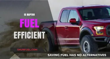 Is the Raptor Fuel Efficient? Analyzing Performance and Mileage