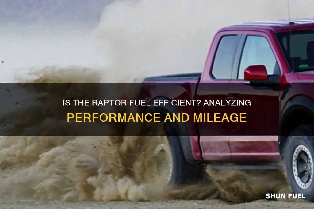 is raptor fuel efficient