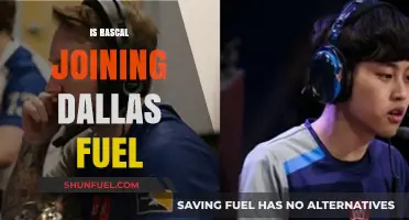 Is Rascal Joining Dallas Fuel? Analyzing the Overwatch League Rumors