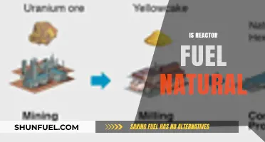 Is Reactor Fuel Natural? Exploring the Origins of Nuclear Power