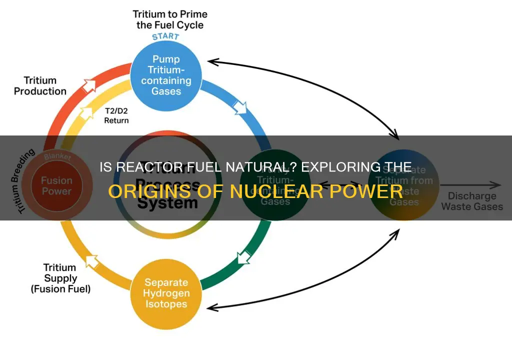 is reactor fuel natural